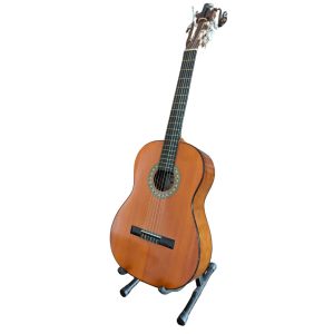 Acoustic Guitar