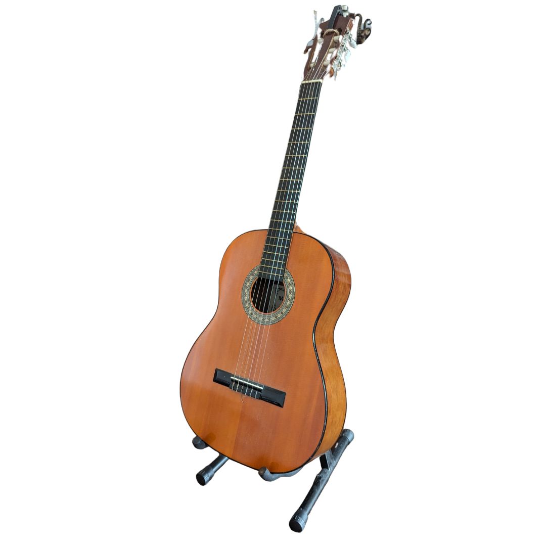Acoustic Guitar